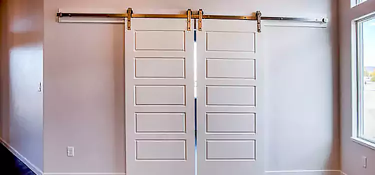 Glass Barn Door with Installation Hardware Kit Elmont