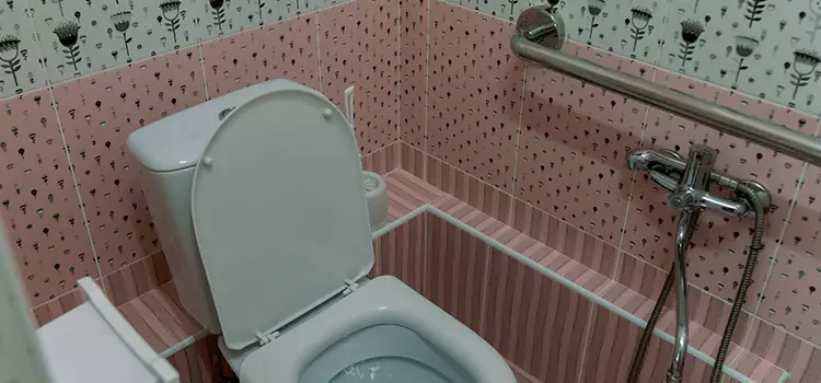 Meeting Diverse Needs With Accessible Restroom Solutions in Elmont, NY